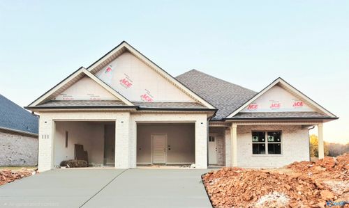 111 Alton Dale Dr, Toney, AL, 35773-4007 | Card Image