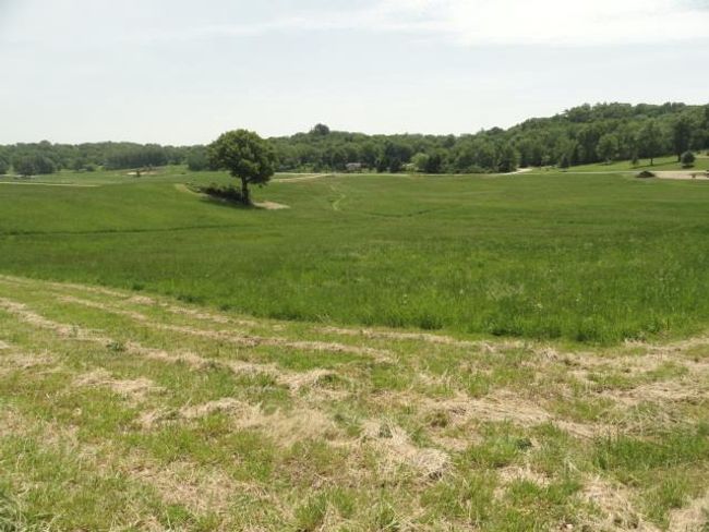 Lot 3 County Road Y, Home with 0 bedrooms, 0 bathrooms and null parking in Viroqua WI | Image 42