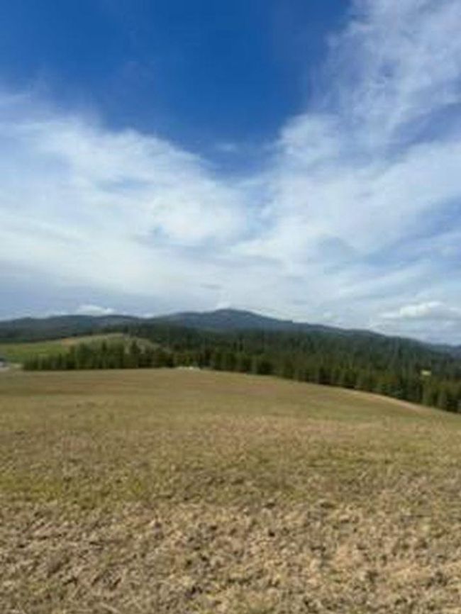 000 E Horton Rd, Home with 0 bedrooms, 0 bathrooms and null parking in Rockford WA | Image 11
