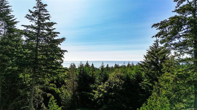 740 Windover Terr, House other with 4 bedrooms, 5 bathrooms and 4 parking in Metchosin BC | Image 37