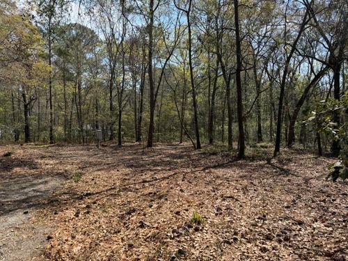 6321 Bears Bluff Rd, Wadmalaw Island, SC, 29487-6808 | Card Image
