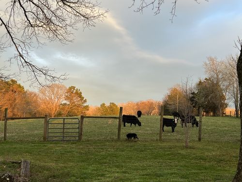 192 Mcclanahan Rd, Only, TN, 37140-4116 | Card Image