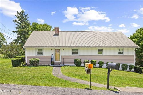 117 Ridge St, Surgoinsville, TN, 37873-3135 | Card Image