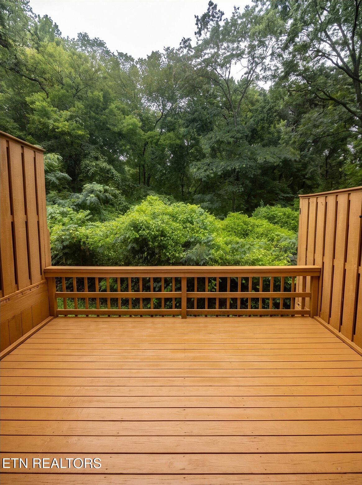 Residential in Knoxville 4