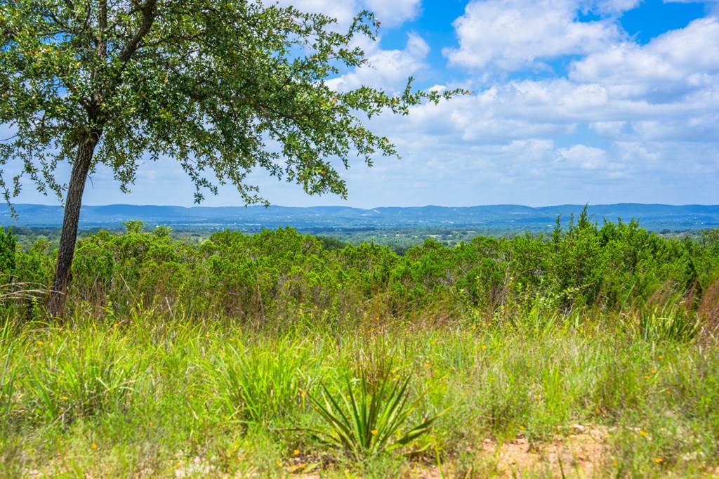 Land in Bandera 5
