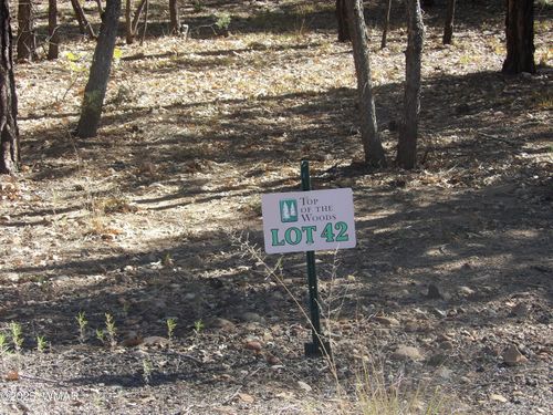 2521 S Willow Way, Pinetop, AZ, 85935 | Card Image