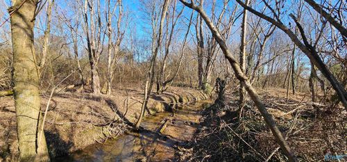 1 +/- Acre Alabama Highway 227, Geraldine, AL, 35974 | Card Image