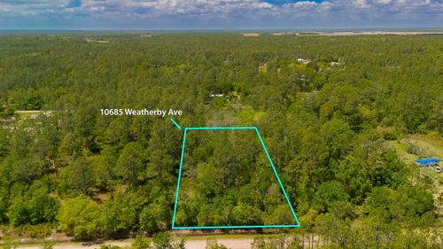 10685 Weatherby Ave, Hastings, FL, 32145-8916 | Card Image