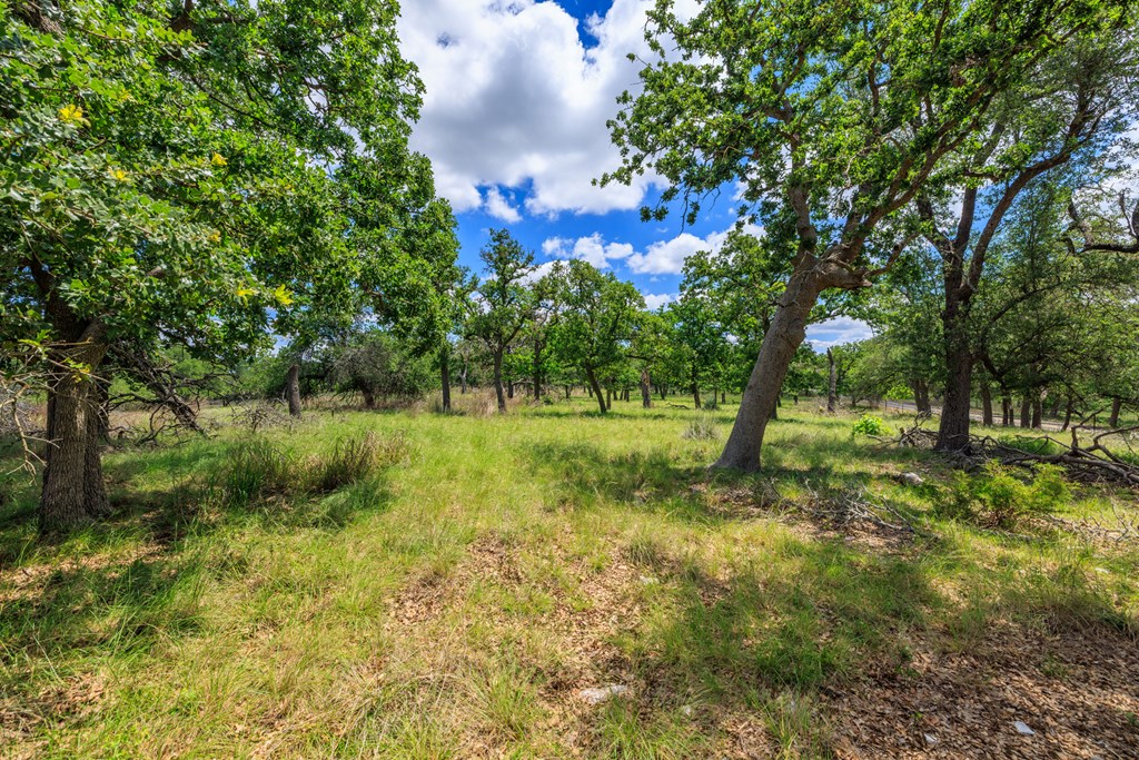 Farm in Fredericksburg 4