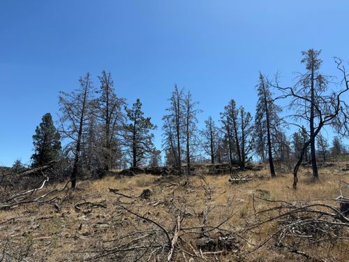 lot-6-0 Wren Dr, Bonanza, OR, 97623 | Card Image