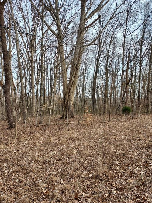 0 County Road 675, Hardinsburg, IN, 47125 | Card Image