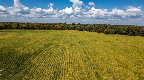 10484 County Road 14, Flat Rock, AL, 35966-4587 | Card Image