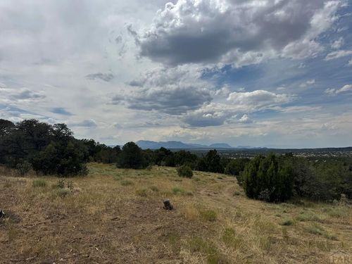 Tr 87 Bear Creek Rd, Walsenburg, CO, 81089-8600 | Card Image