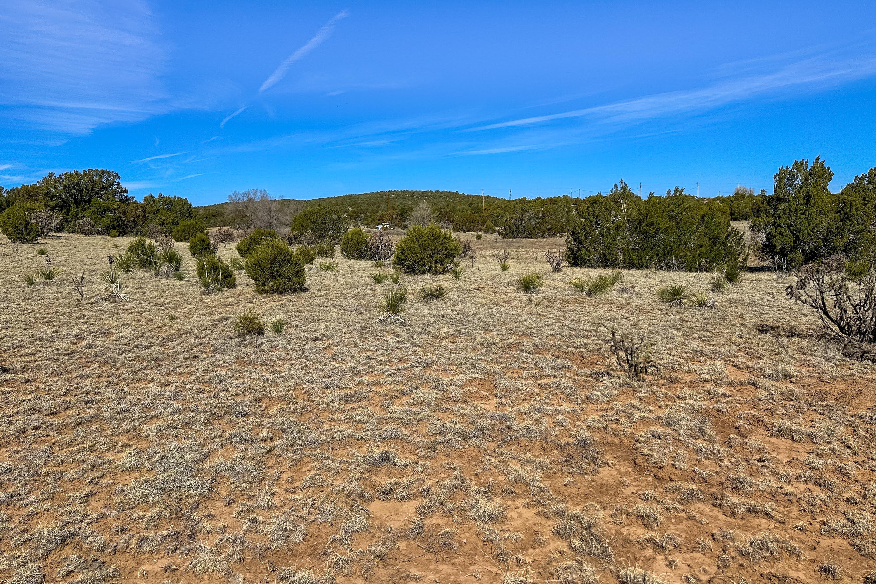 Land in Moriarty 4