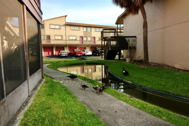 36A2 - 6336 Newtown Cir, Condo with 2 bedrooms, 2 bathrooms and null parking in TAMPA FL | Image 34