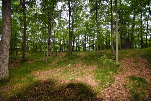 TBD Osceola Cir, Pequot Lakes, MN, 56472 | Card Image