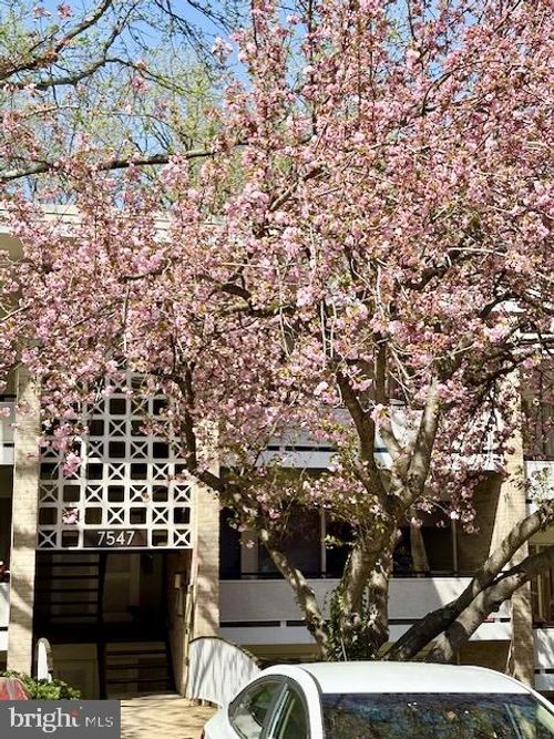 7547-b-7547 Spring Lake Dr, BETHESDA, MD, 20817-6510 | Card Image