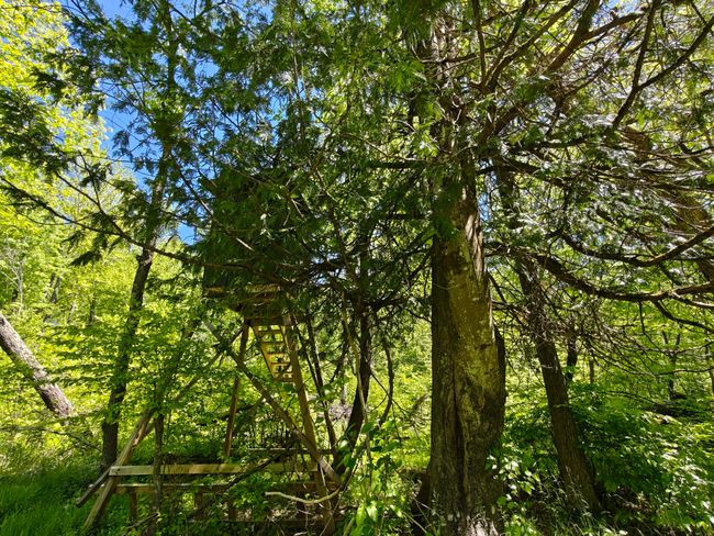 10830 3 Mile Rd, Home with 0 bedrooms, 0 bathrooms and null parking in Branch MI | Image 21