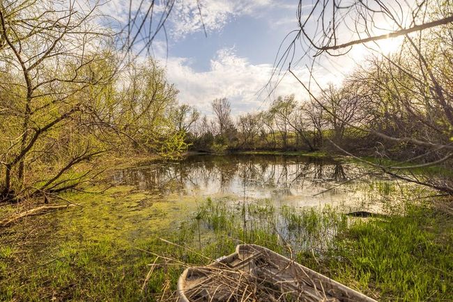 Property view of water | Image 75
