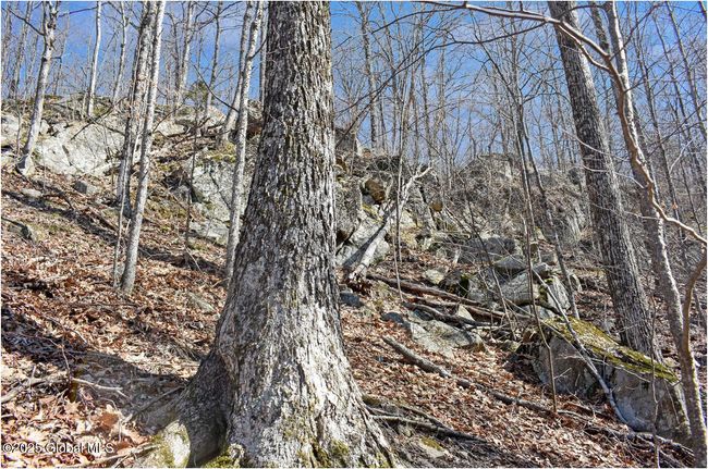48 Durkin Rd, Home with 0 bedrooms, 0 bathrooms and null parking in North Creek NY | Image 44