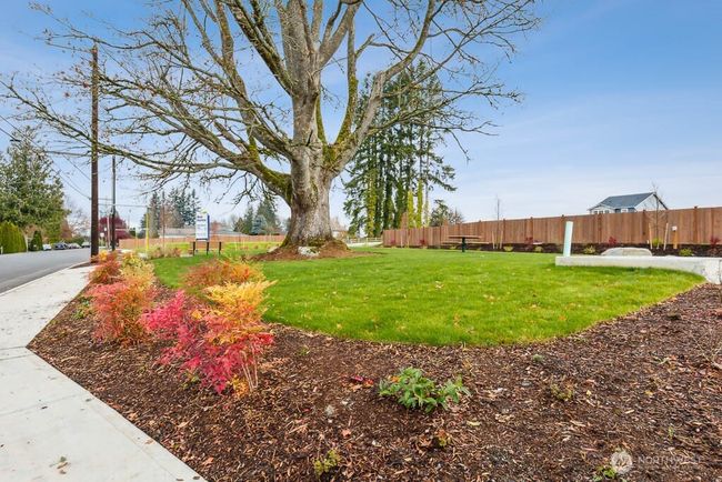 Community Park #1/Benches/ Picnic Table | Image 26
