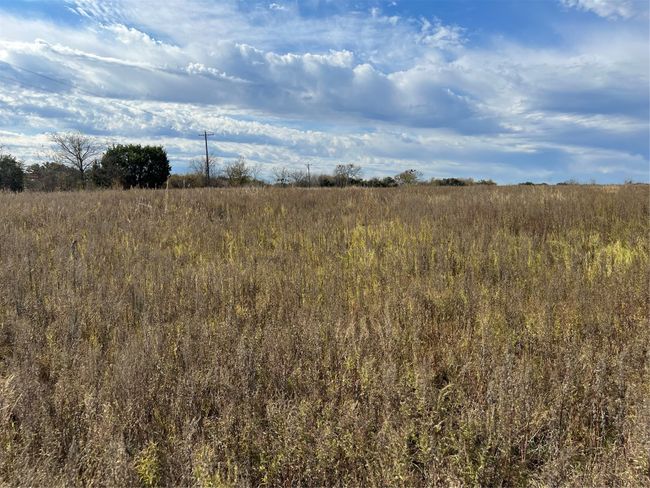 View of pasture | Image 4