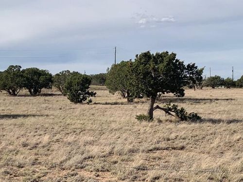 10 Moonlight Mdw, Edgewood, NM, 87015 | Card Image