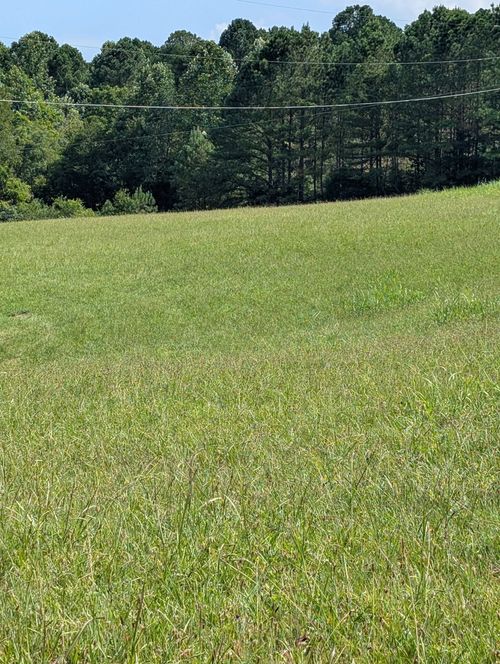 0 Old Mt View Rd, Manchester, TN, 37355 | Card Image