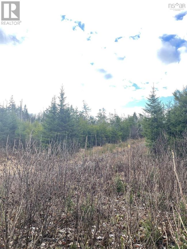 2 W Liscomb Point Rd, Home with 0 bedrooms, 0 bathrooms and null parking in Liscomb NS | Image 13