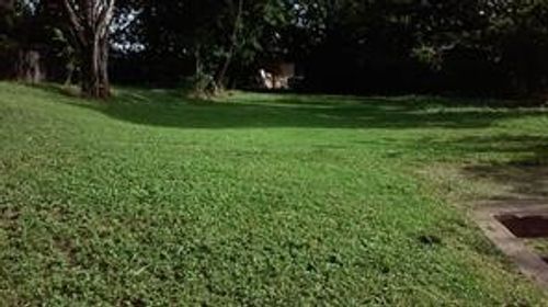 1033 Church St, Dallas, TX, 75203-2421 | Card Image
