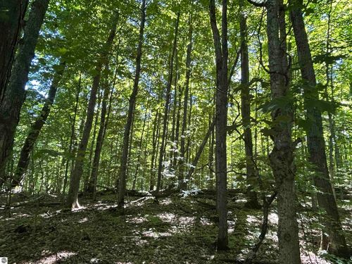 Lot 129 Troon, Bellaire, MI, 49615 | Card Image