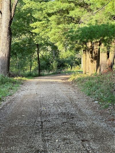 View of road | Image 3