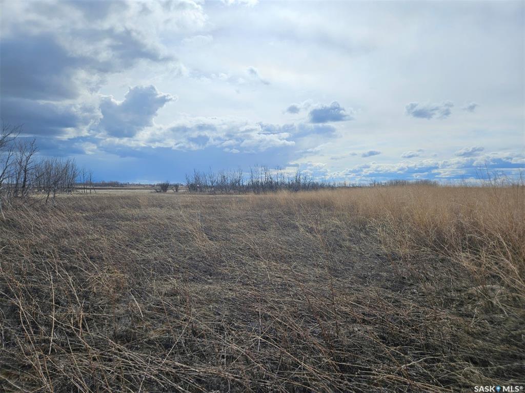 Land in Vanscoy Rm No. 345 5