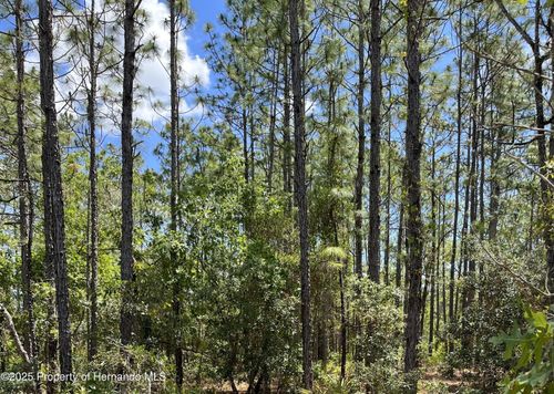 0 Celeste Ave, BROOKSVILLE, FL, 34614 | Card Image