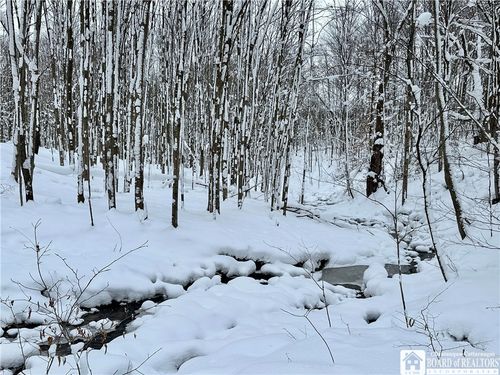  Hopkins Road, Ellington, NY, 14747 | Card Image