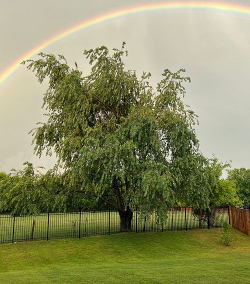 2110 Silver Leaf Dr, Island Lake, IL, 60042-8837 | Card Image