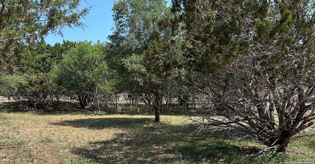1619 Stringtown Rd, Home with 0 bedrooms, 0 bathrooms and null parking in Medina TX | Image 4