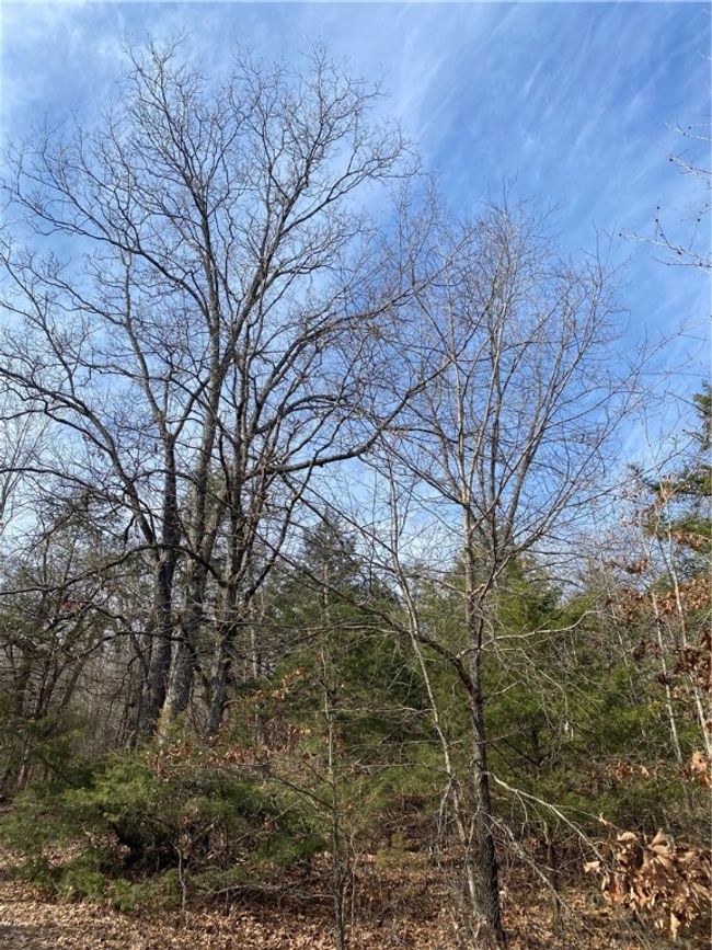 TBD 5051, Home with 0 bedrooms, 0 bathrooms and null parking in Pettigrew AR | Image 11