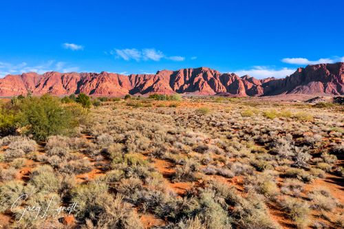1312 W Willow Springs Way, Ivins, UT, 84738-6304 | Card Image