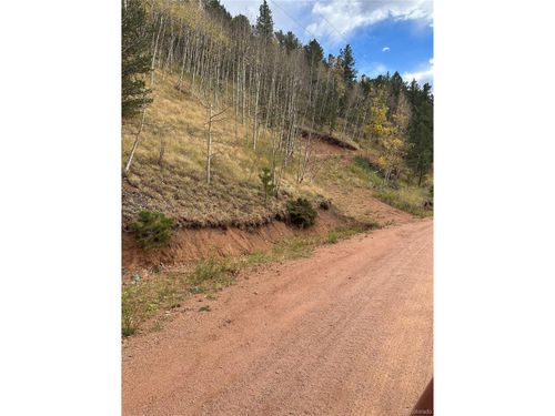 80 Beaver Pond Rd, Divide, CO, 80814 | Card Image