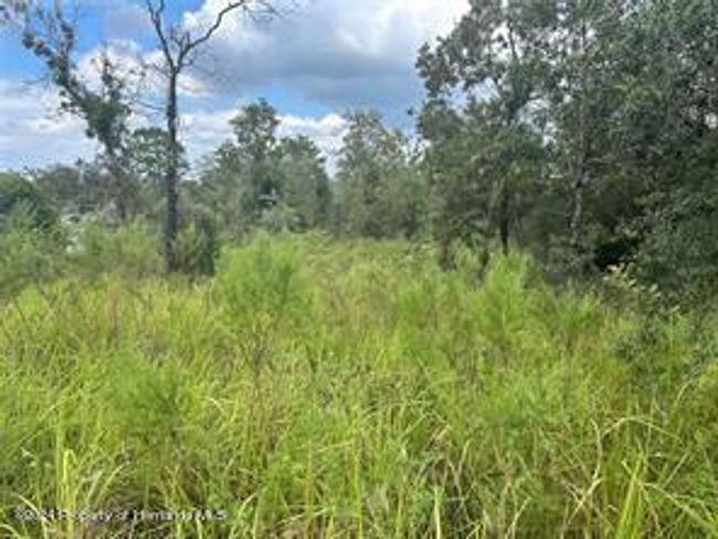 13035 House Finch Rd, Home with 0 bedrooms, 0 bathrooms and null parking in WEEKI WACHEE FL | Image 4