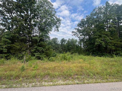 0 Grassy Hollow Rd, Potosi, MO, 63664 | Card Image