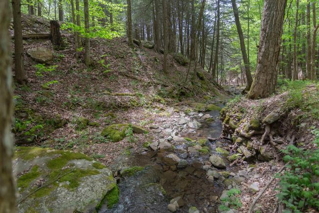 14 - 1214 Armstrong Rd, House other with 7 bedrooms, 4 bathrooms and null parking in Arkville NY | Image 29