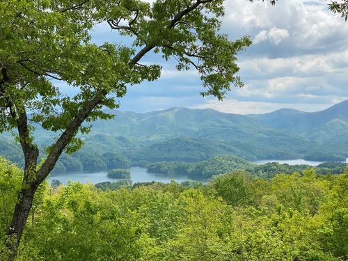 18 Horseshoe Cove Dr, Butler, TN, 37640 | Card Image