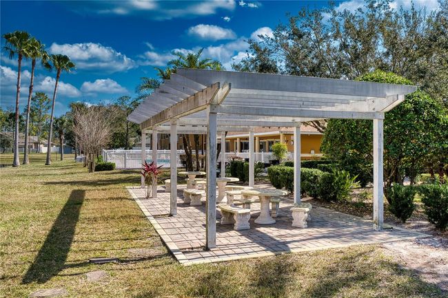 PICNIC AREA! | Image 28