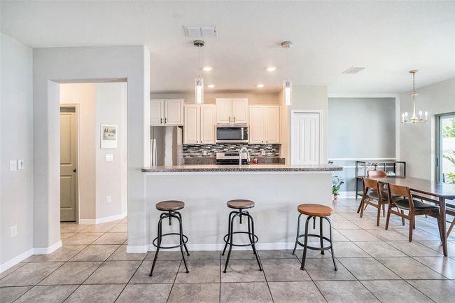 7405 French Marigold Ave, House other with 4 bedrooms, 3 bathrooms and null parking in TAMPA FL | Image 9