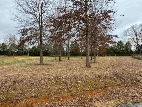 27R River Birch Drive, Guy, AR, 72061 | Card Image