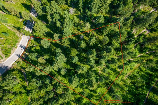 183 Pinto Trl, Home with 0 bedrooms, 0 bathrooms and null parking in Bigfork MT | Image 33