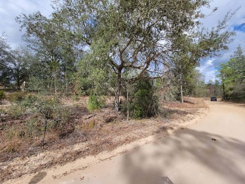 000 Twin Lakes Blvd, Interlachen, FL, 32148 | Card Image