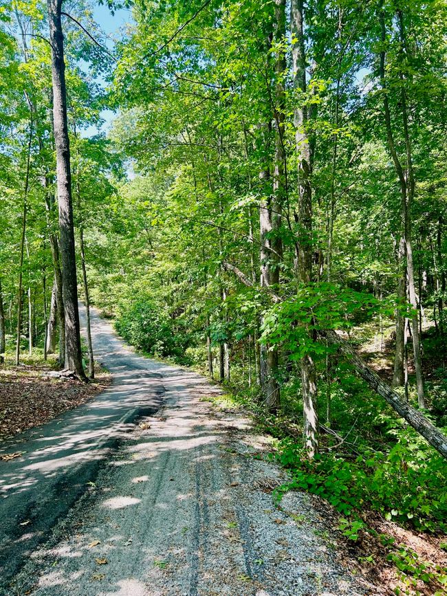0 Still Creek Rd, Home with 0 bedrooms, 0 bathrooms and null parking in Rising Fawn GA | Image 13